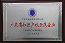 廣東省知識(shí)產(chǎn)權(quán)示范企業(yè)
