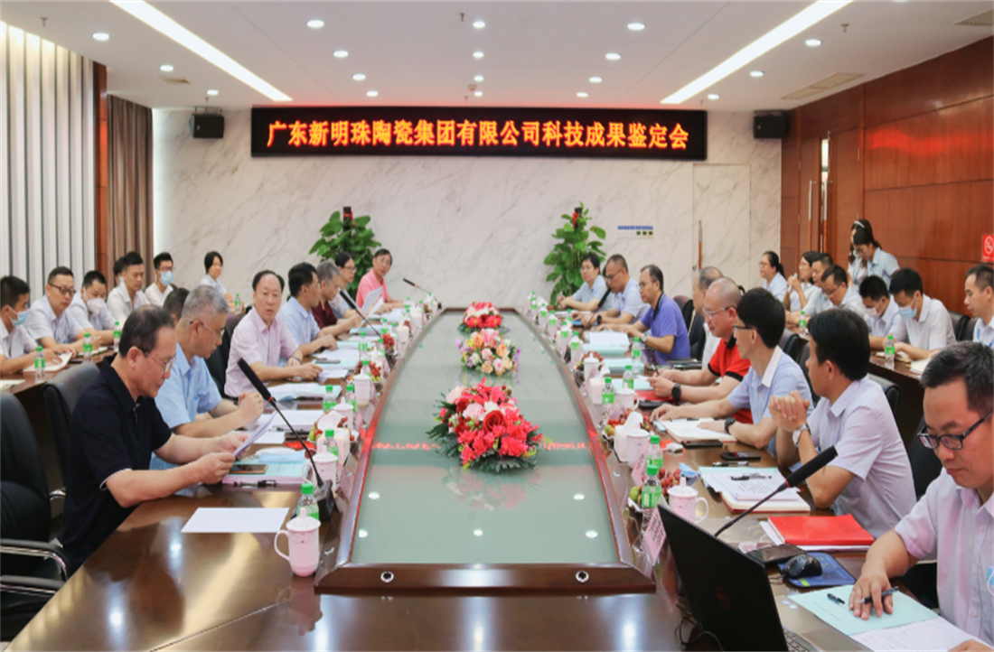 一項“國際領先”，兩項“國際先進”！新明珠3項科技成果成功通過審議